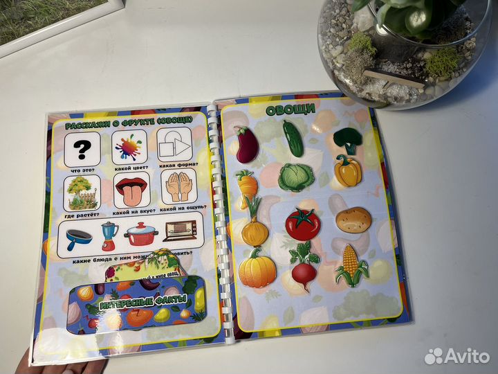 Лэпбук Овощи и Фрукты. Игры на липучках