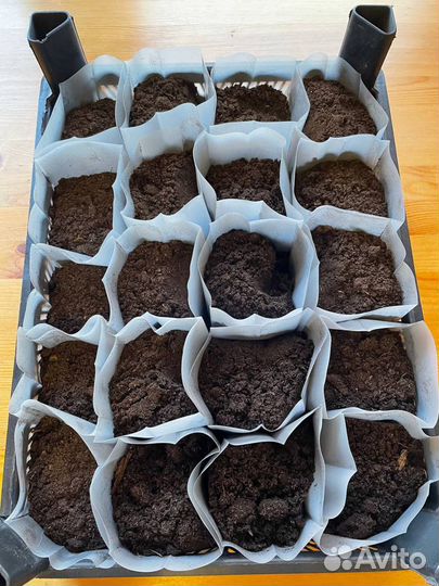 Пакеты для рассады 0,5 литра