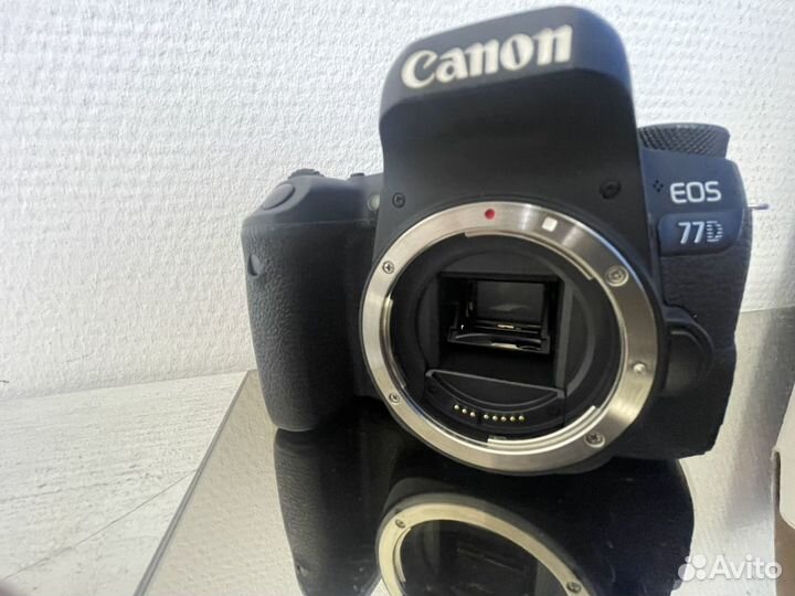 Canon eos 77d body