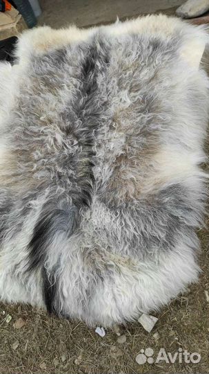 Шкуры овечьи козий Шкура
