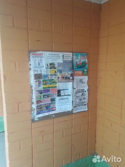 Распространение листовок и расклейка