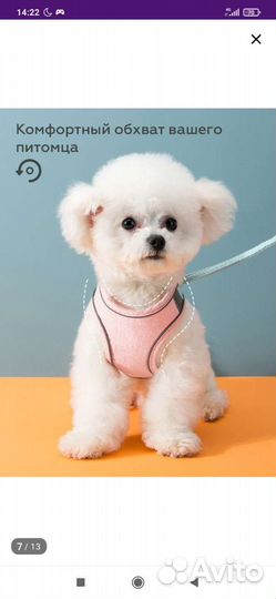 Шлейка. Новая, для маленьких собак