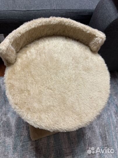 Когтеточка