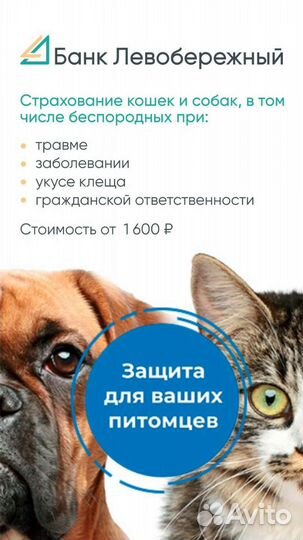 Помощь в получении кредита физические лица