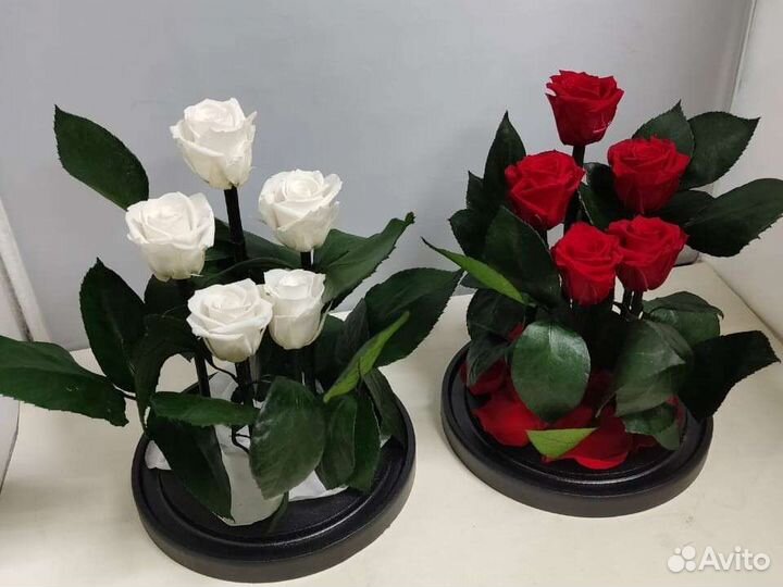 Подарок на новый год / Цветы