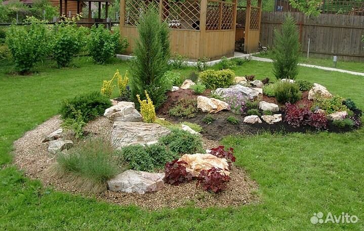 Садовые растения