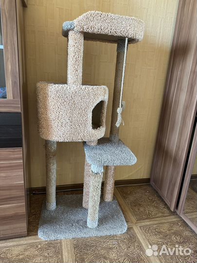 Когтеточка