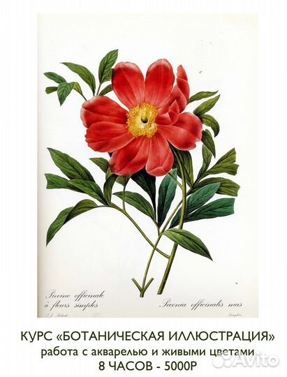 Мастерская художника: рисование и творчество 0-99+