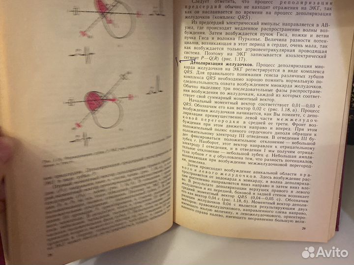 Экг мурашко струтынский 1991 год