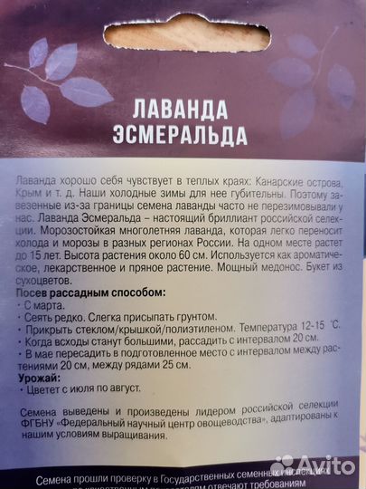 Лаванда
