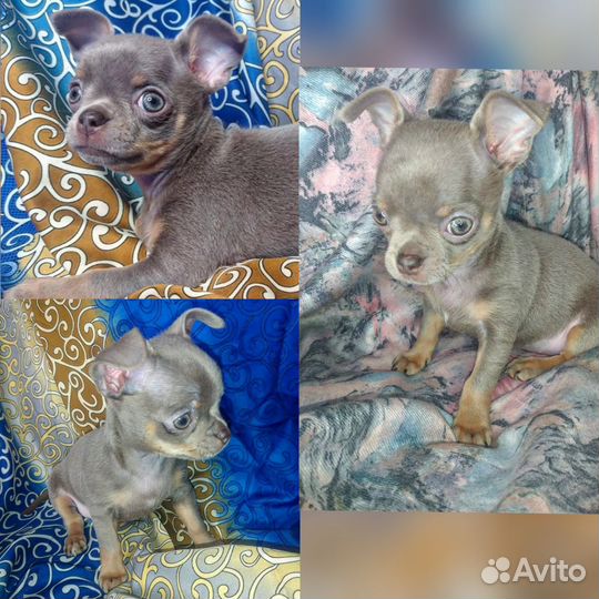 Мини мальчик и девочка