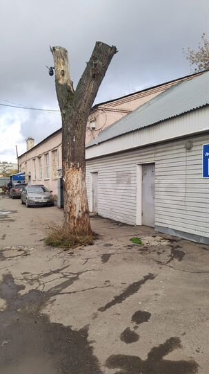 Свободного назначения, 21 м²