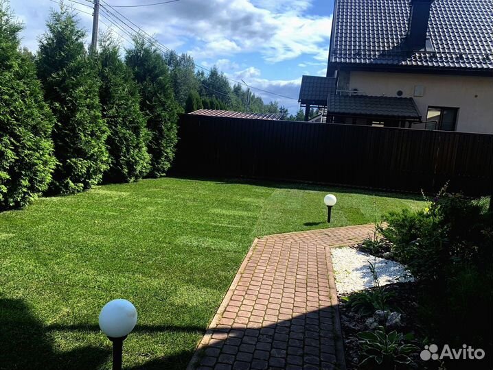 Рулонный газон