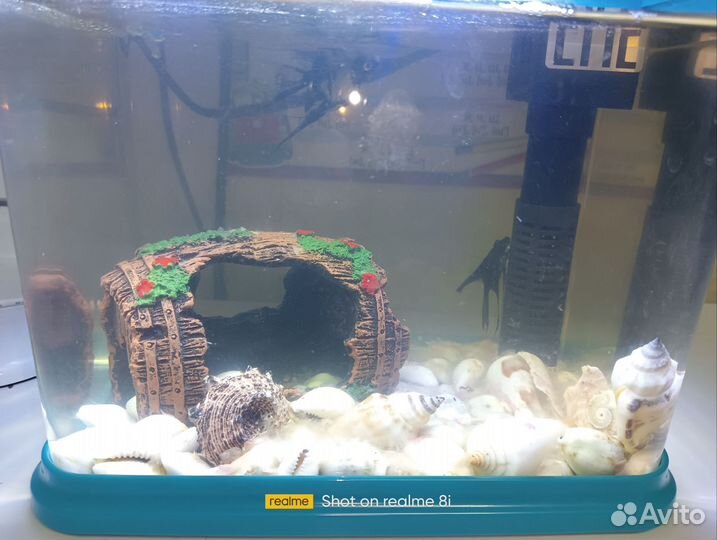 Аквариум