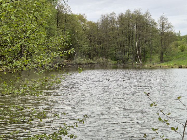 Участок 20 сот. (ИЖС)