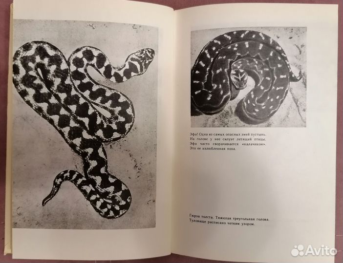 Книга Ю. Ильинского 