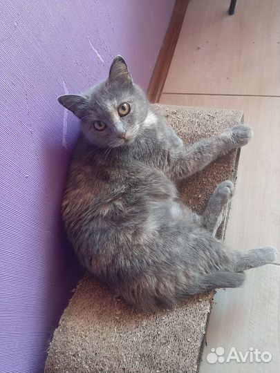 Плюша 2 года