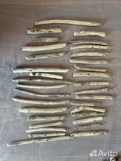 Дрифтвуд, палки, коряги