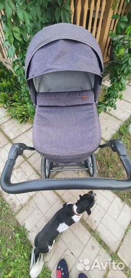 Коляска люлька Inglesina sofia comfort
