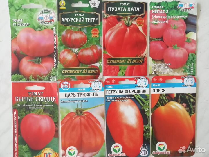 Рассада перца, баклажан, томатов, цветов