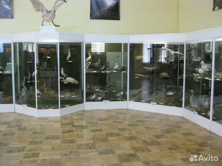 Витрина стеклянная