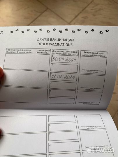 Щенок Умка