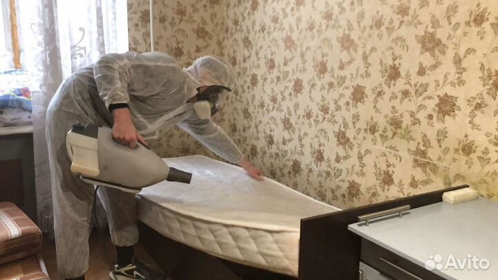 Травить клопов
