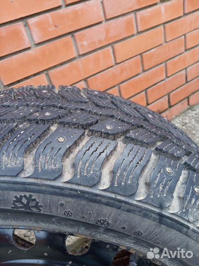 Nexen Winguard 231 195/55 R15 85T