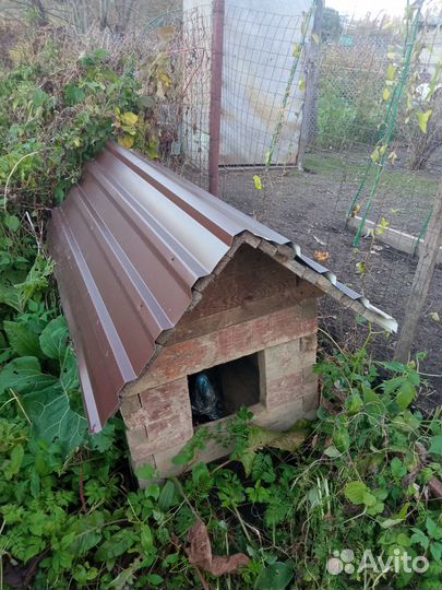 Будка для собаки