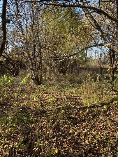 Участок 7 сот. (СНТ, ДНП)