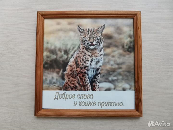 Рамки со стеклом, дерево 25х25 и 25х35