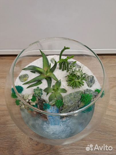 Флорариум
