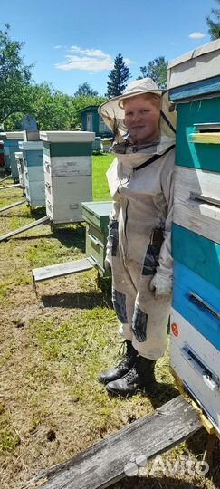Продам пчелосемьи