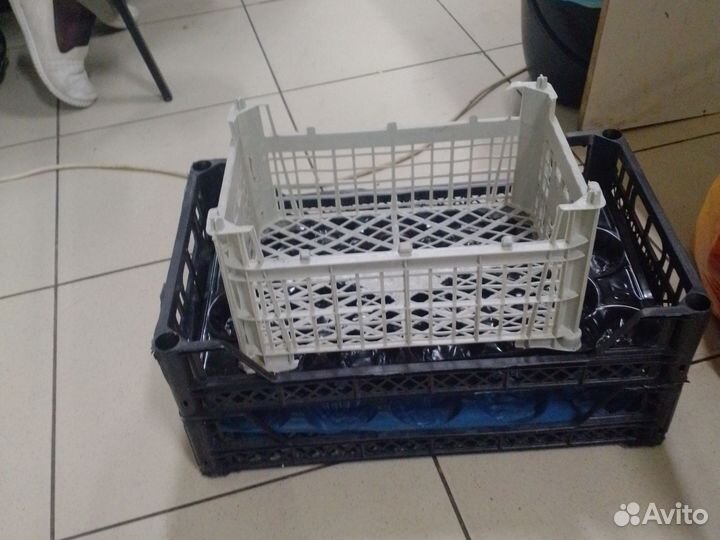 Пластиковые ящики для овощей бу