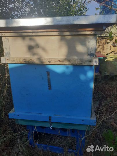 Ульи для пчел