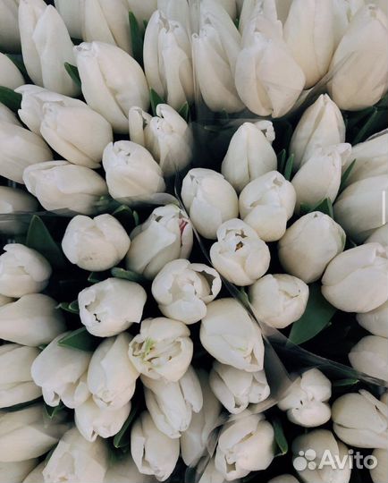 Доставка цветов