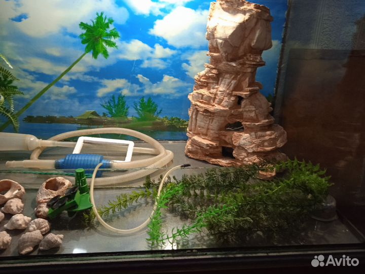 Аквариум