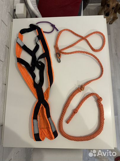 Шлейка ездовая для собаки