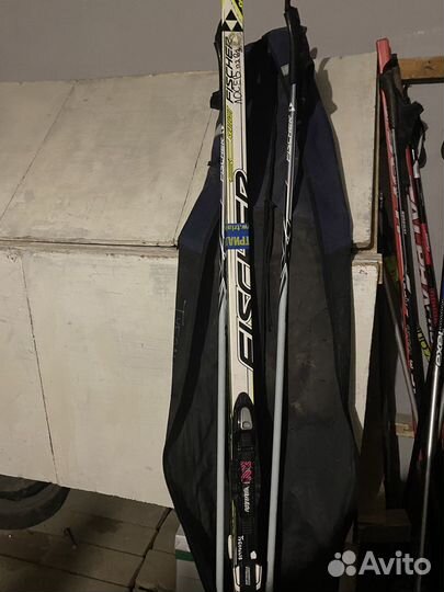 Беговые лыжи fisher skatecut