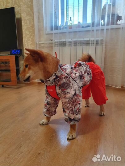 Комбинезон для собак