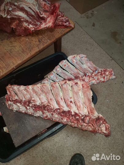 Хеербет кость