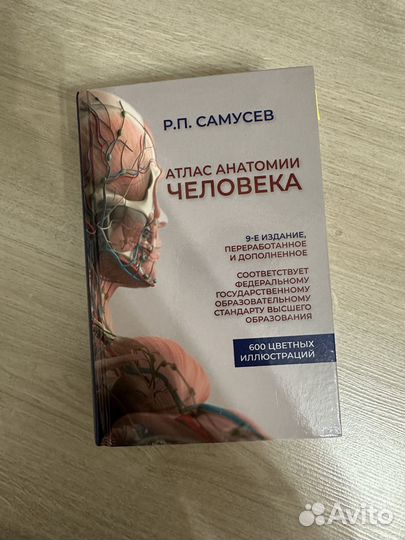 Анатомия и физиология человека