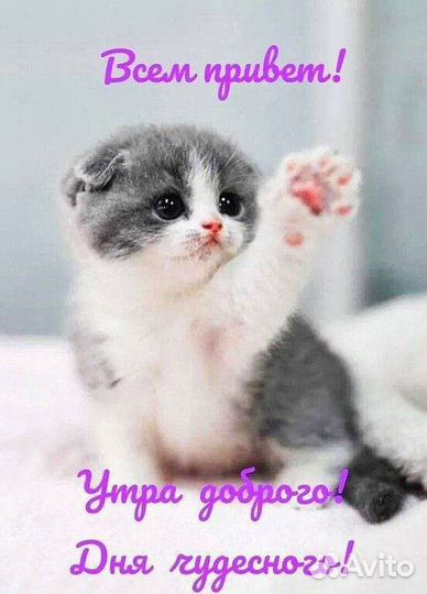 Аниматор на детский праздник