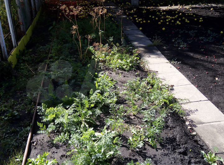 Дача 50 м² на участке 8 сот.