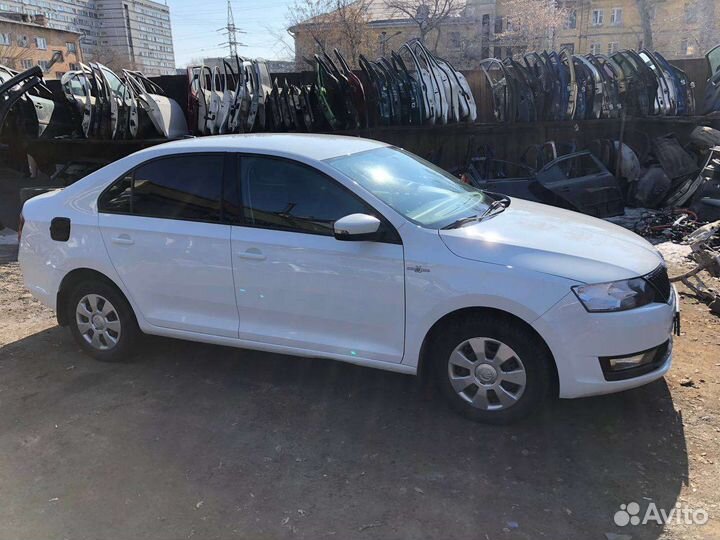 В разбор поступил Skoda Rapid