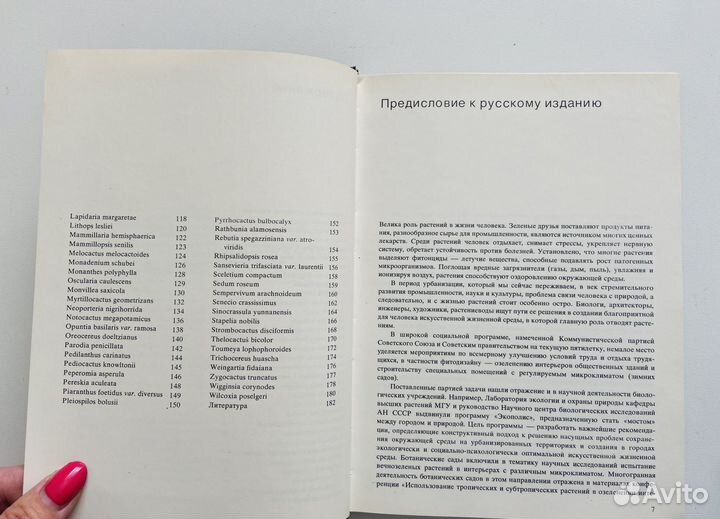 Книга кактусы Э.Лэм Б. Лэм