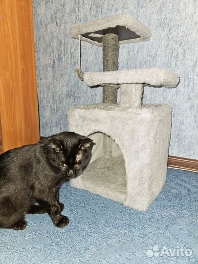 Когтеточка домик для кошки