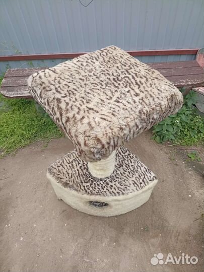 Когтеточка домик для кошки бу