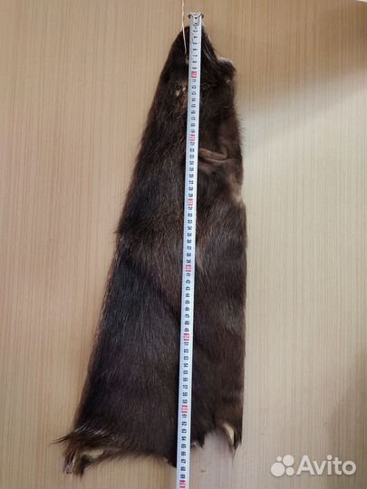 Шкурки нутрии