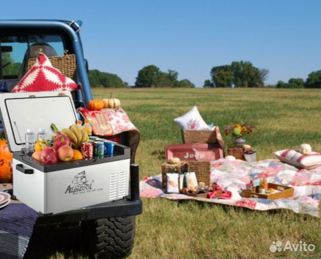 Автохолодильник c30